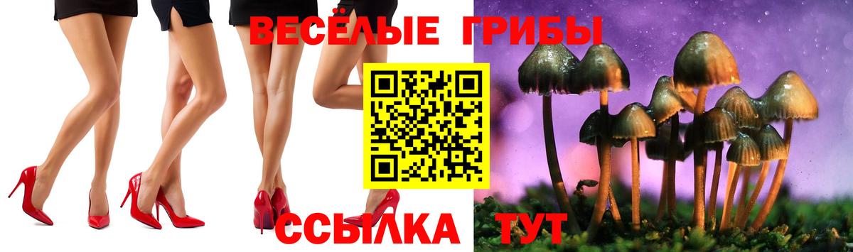 Псилоцибиновые грибы мухоморы  Вход с VPN  как найти наркотики  Мариинск 
